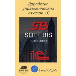Revision of management reports 1с Programmer services
