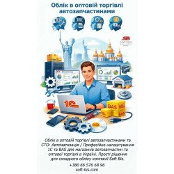 Accounting for Auto Parts Wholesale and Service Stations: Automation