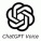 ChatGPT Voice