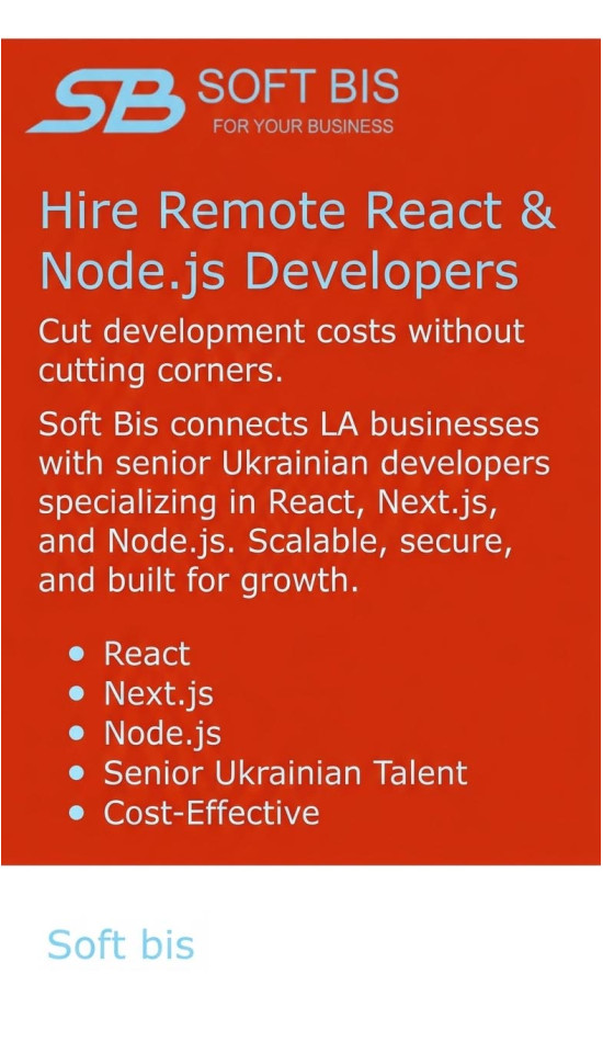 Build Faster, Spend Smarter: Why LA Companies Are Choosing Soft Bis for Development