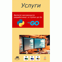Backend Developer Services: From Python to Go