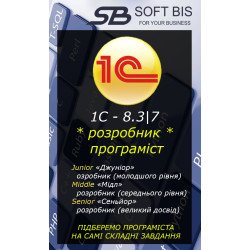 1C 8.3 Programmer Services — 550 UAH/hour
