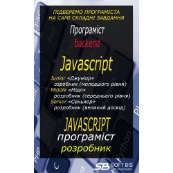 Programmer Backend Developer developer JavaScript