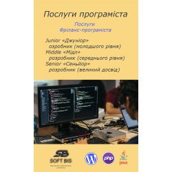 Find the right software development solutions to ensure accessibility.